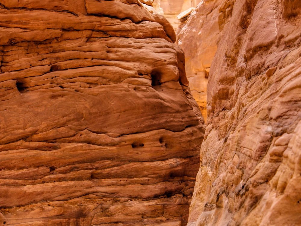 The banded sandstone walls of Sinai's Colored Canyon, colored by iron oxide, manganese, and mineral deposits laid down tens of millions of years ago.