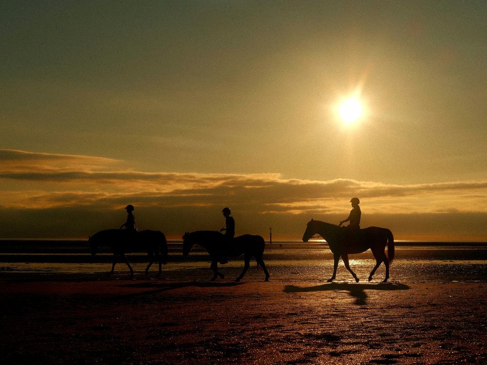 Horseback riders along the shoreline near Hurghada at sunset, before the desert sky turns fully dark.