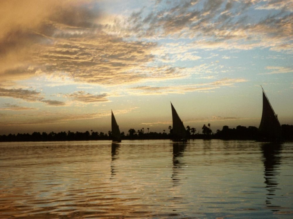 Felucca sails catching the last gold light on the Nile at sunset.