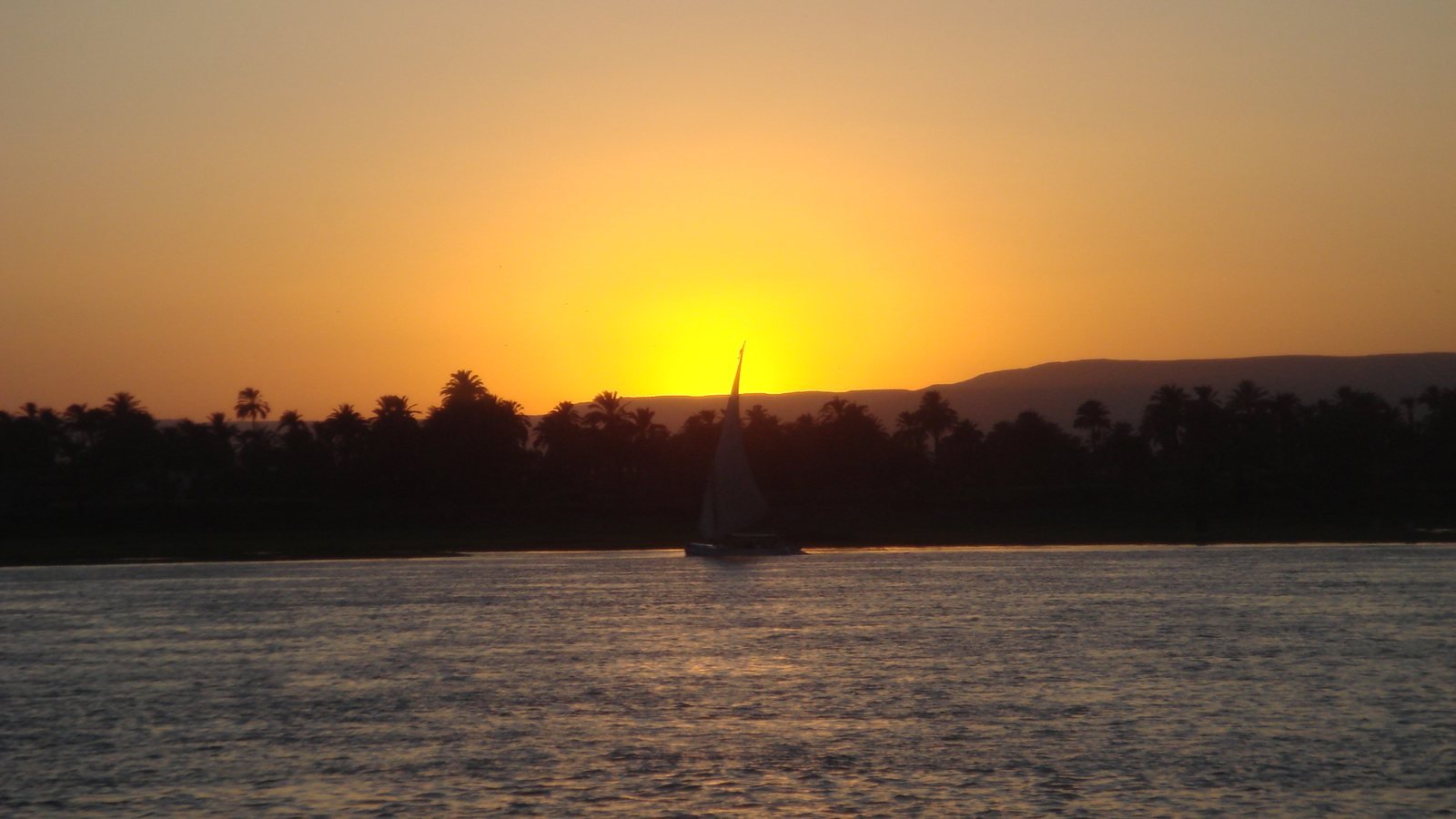 Sunset on the Nile: The Felucca Ride and Dinner Cruise That Cairo Still Runs On