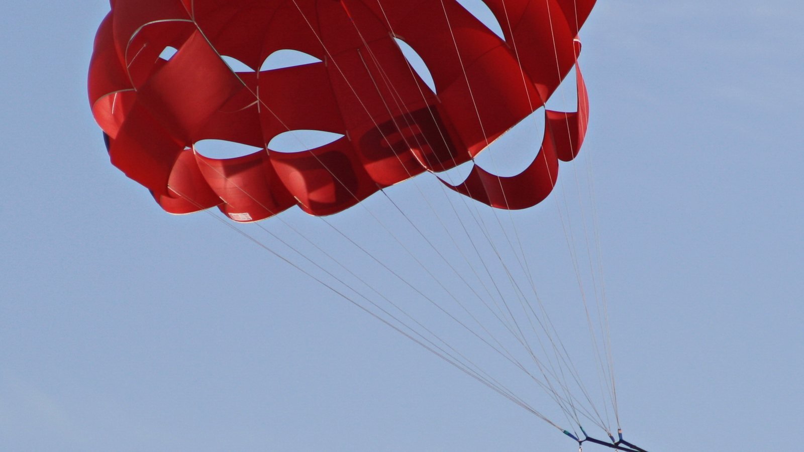 Above and Below the Red Sea: Parasailing Over Sharm El Sheikh and Diving Into Ras Mohammed National Park