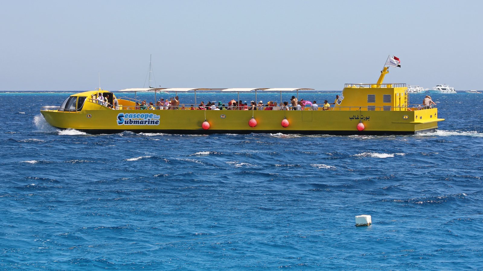 The Red Sea Without Getting Wet: Semi-Submarines, Glass-Bottom Boats, and the Grand Aquarium