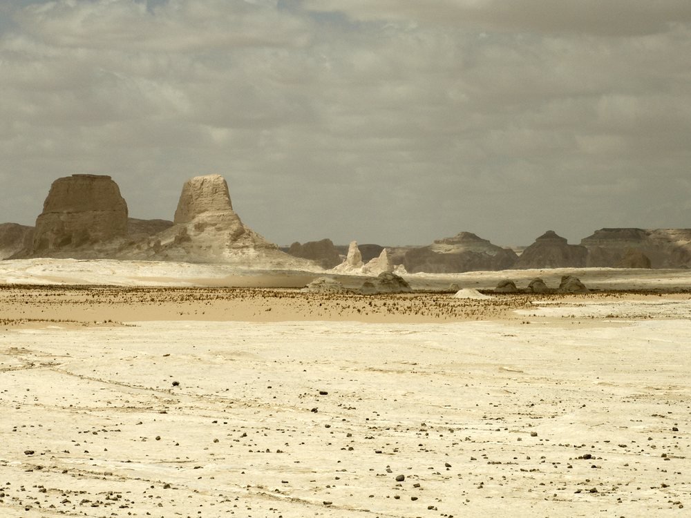 Wind-sculpted chalk formations in Egypt's White Desert, shaped by millions of years of erosion.