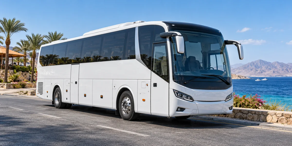 Coach / Bus