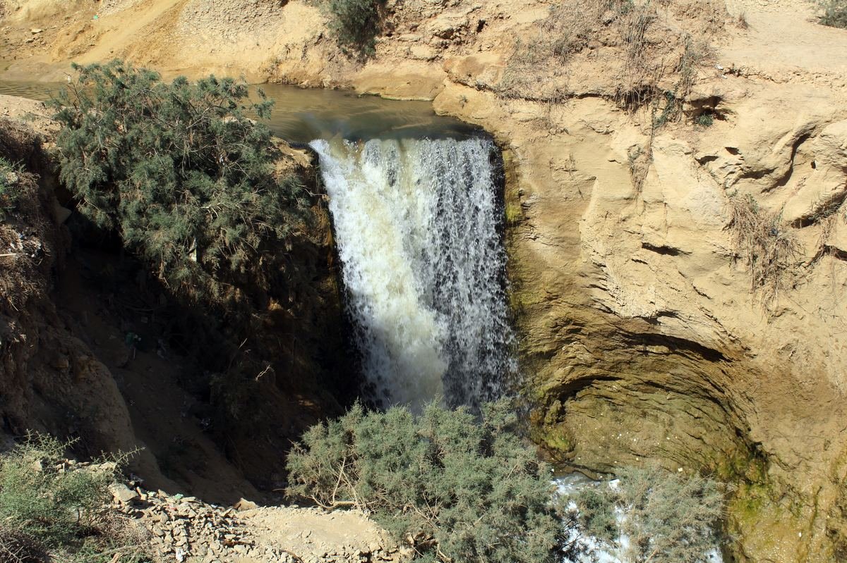 واحة الفيوم
