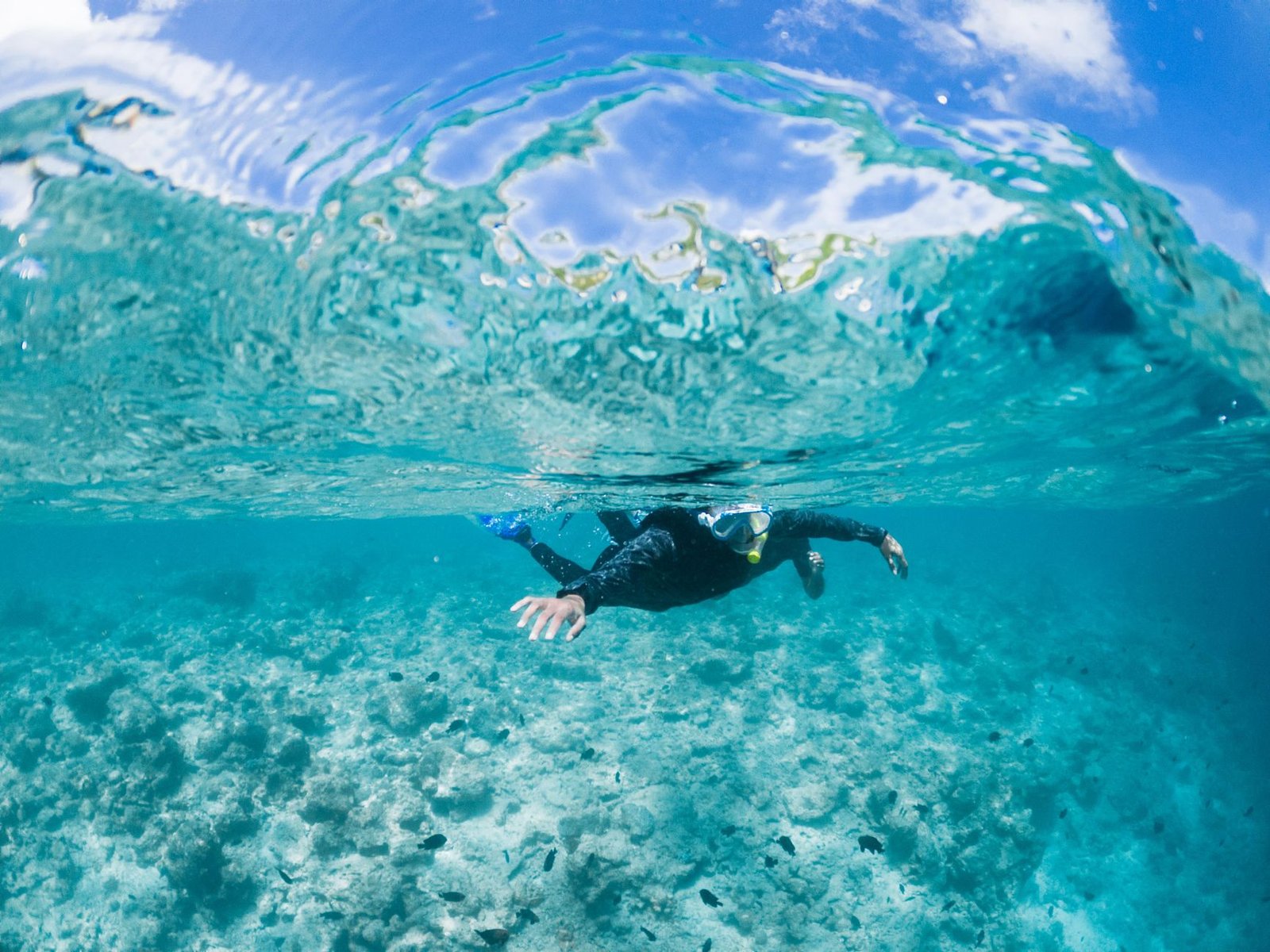 Orange Bay Island Snorkeling