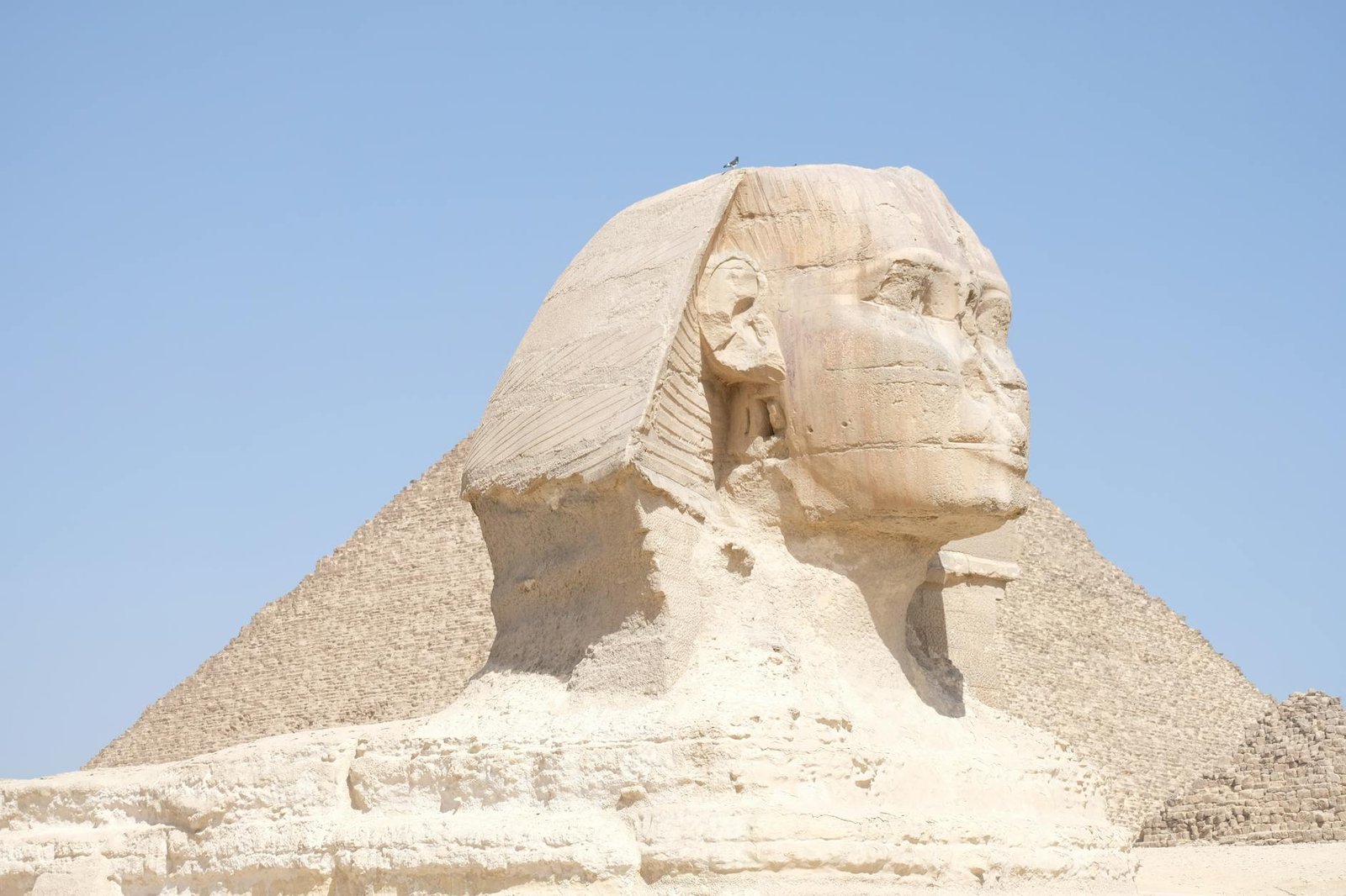 Cairo & Pyramids by Bus