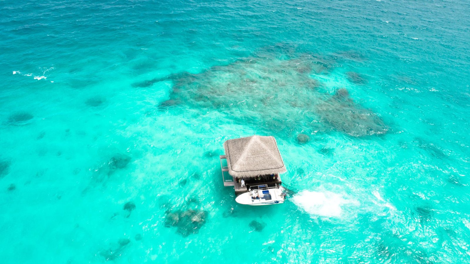 Private Speedboat (4 Hours)