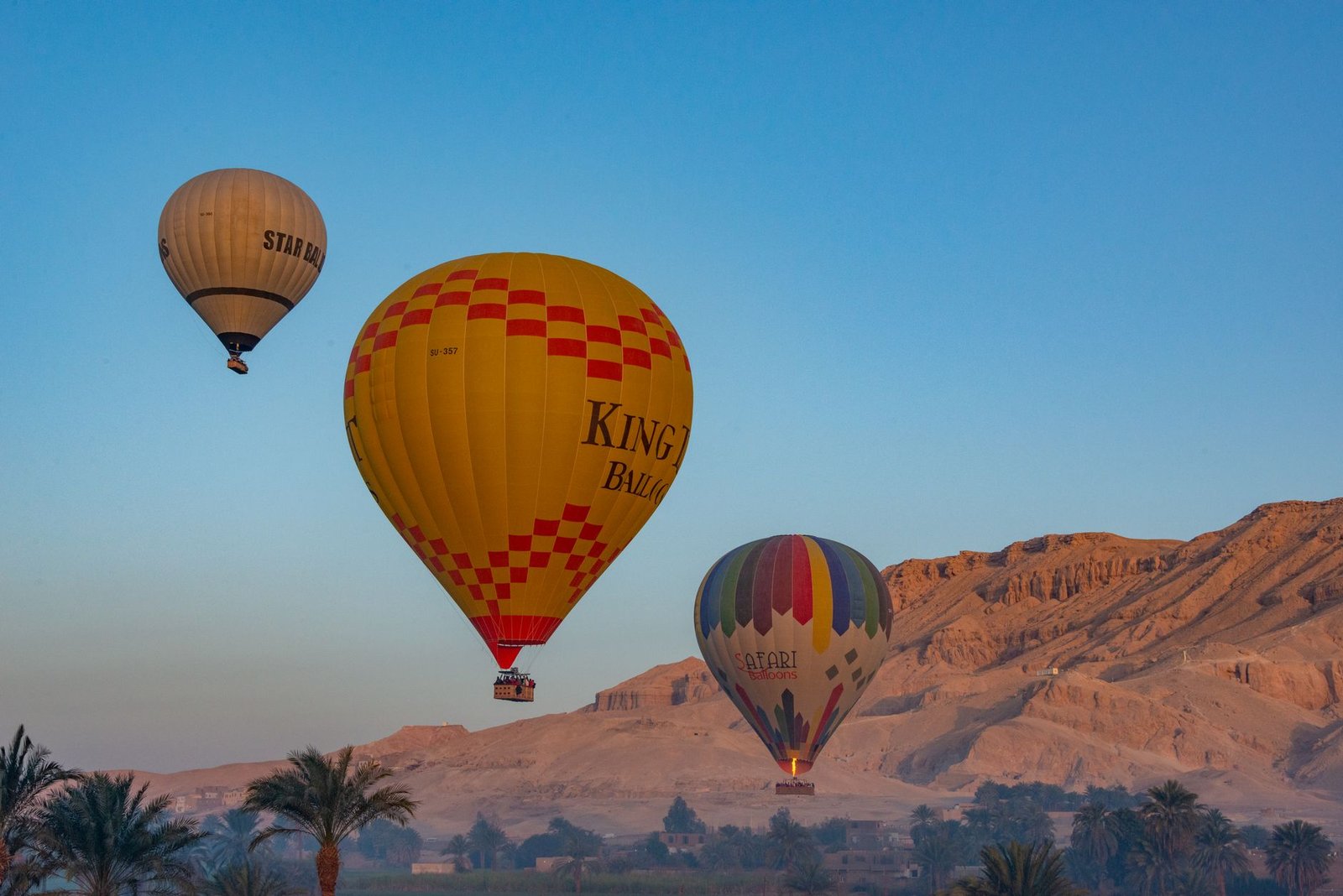 Hot Air Balloon Ride over Luxor