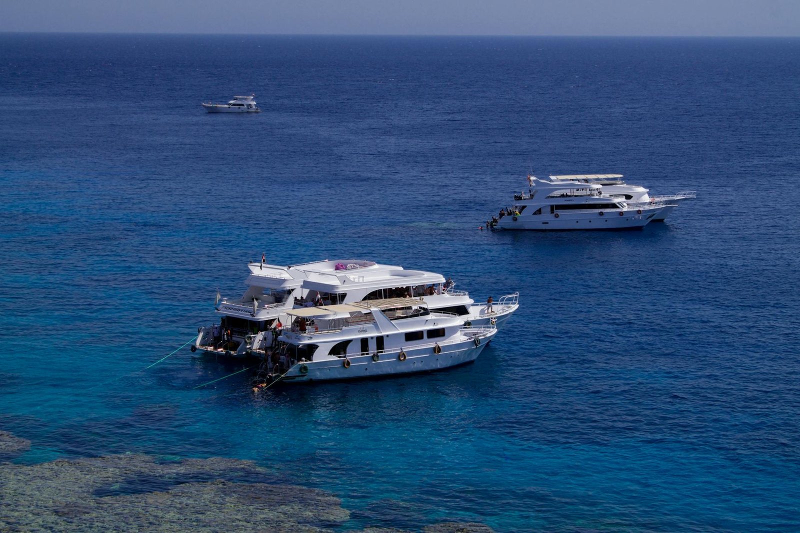 Tiran Island Snorkeling Trip
