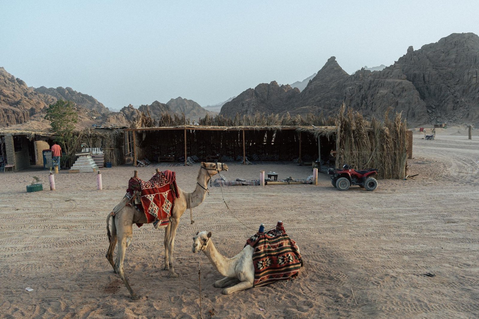 Quad Biking in the Sinai Desert