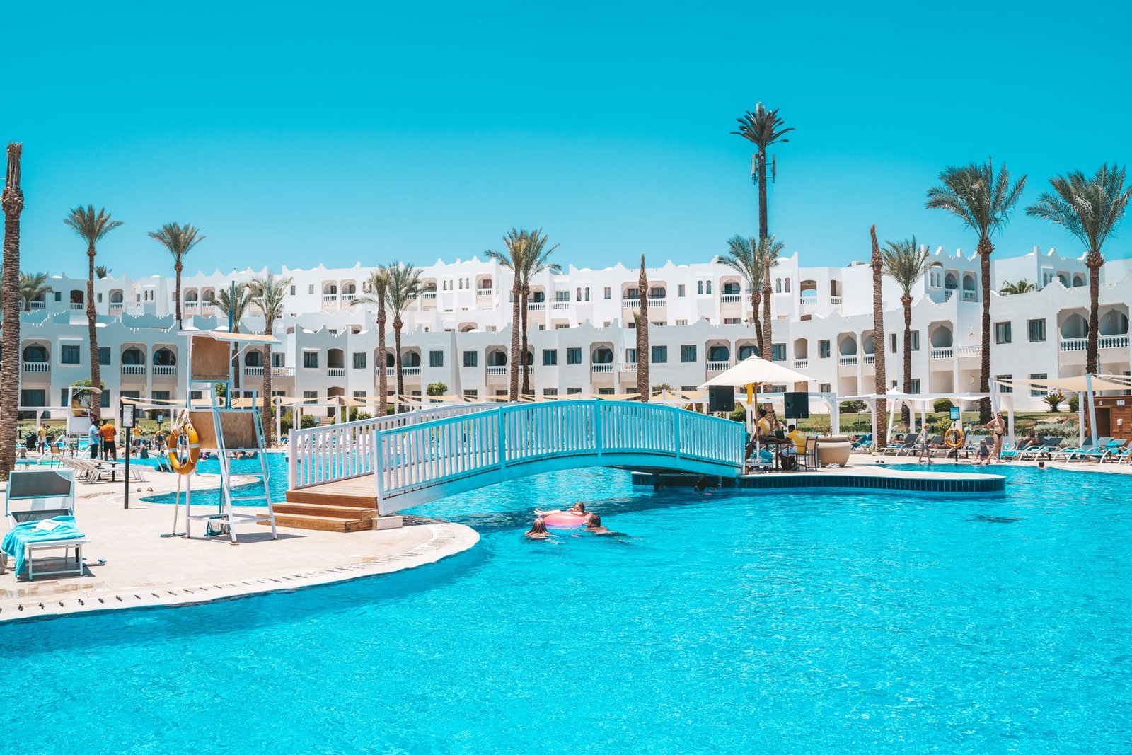 Swim with Dolphins (Pool)