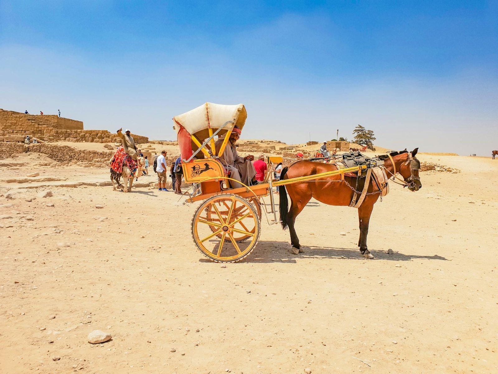 Circuit Découverte de l'Égypte — Forfait Grand Tour 10 Jours